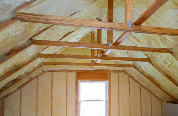 Best Geographic-Specific Insulation Services in Pepeekeo, HI