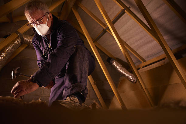 Professional Insulation Contractor in Pepeekeo, HI
