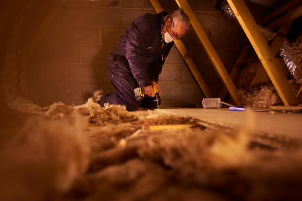 Best Cellulose Insulation in Pepeekeo, HI